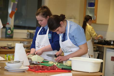 home economics s01e07 bdscr|BS in Home Economics .